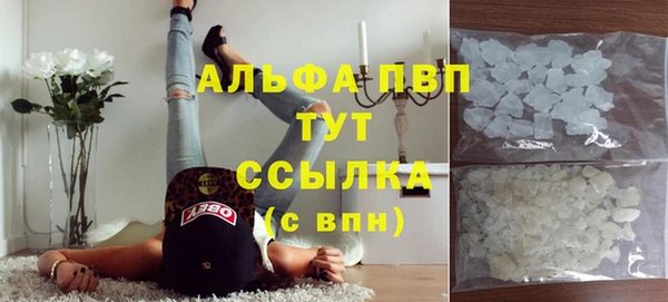 СК Абинск