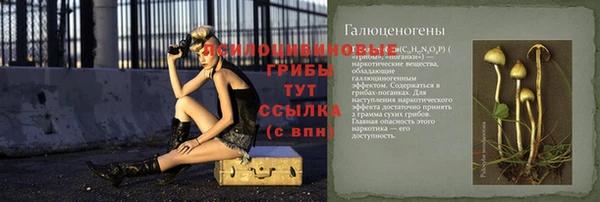 хмурый Абаза