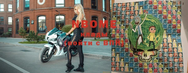 хмурый Абаза