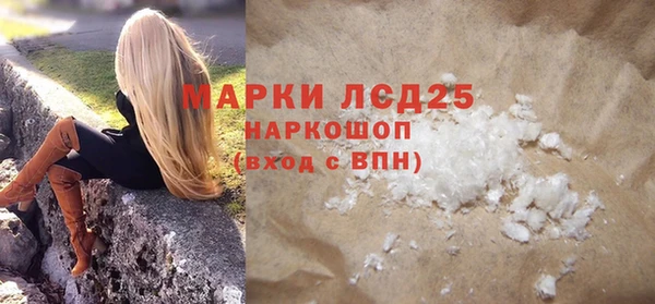 хмурый Абаза