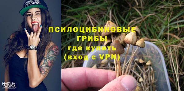 хмурый Абаза