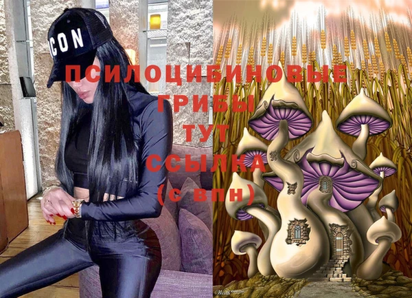 СК Абинск