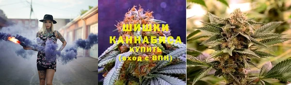хмурый Абаза