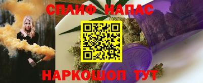 тгк Новокубанск