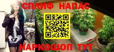 мяу мяу мука Новозыбков