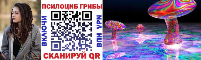 Псилоцибиновые грибы Psilocybine cubensis  где купить   ссылка на мегу рабочий сайт  Павловский Посад 