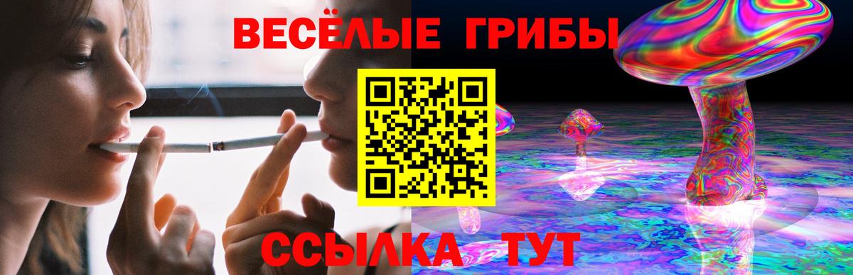 Псилоцибиновые грибы ЛСД Павловский Посад