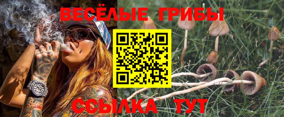 Павловский Посад  Псилоцибиновые грибы ЛСД  Вход с VPN  Галлюциногенные грибы Cubensis 